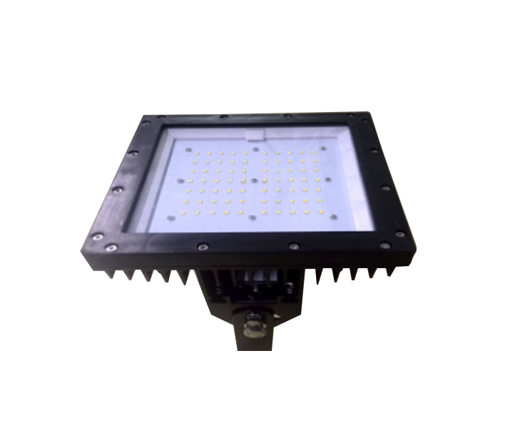 D Series LED Flood Light