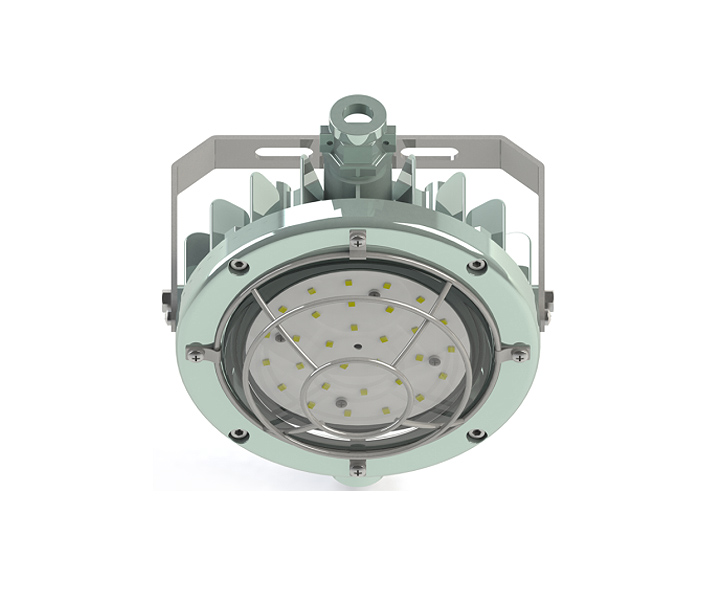DGS Series LED Explosion-proof Light